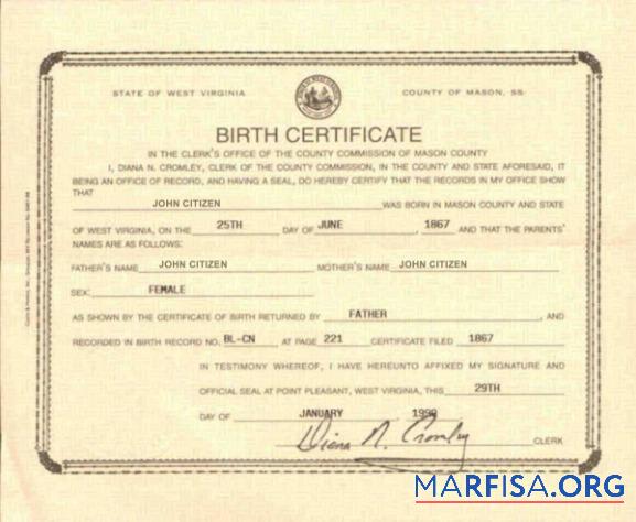 Blank USA Mason county death certificate template